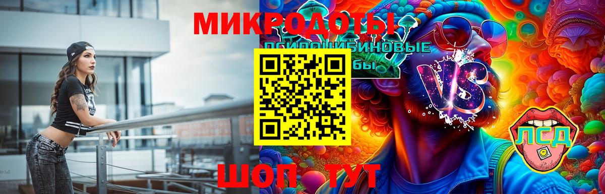 Галлюциногенные грибы прущие грибы Балтийск