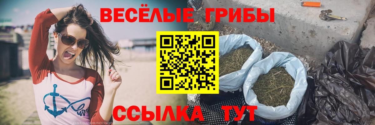 хочу   Галлюциногенные грибы Psilocybine cubensis  Вход с VPN  Балтийск 